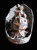 oeuf