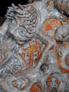  Espiration detail